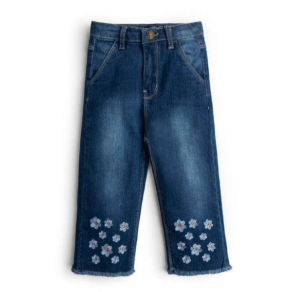 Dreamscape Embroidered Denim